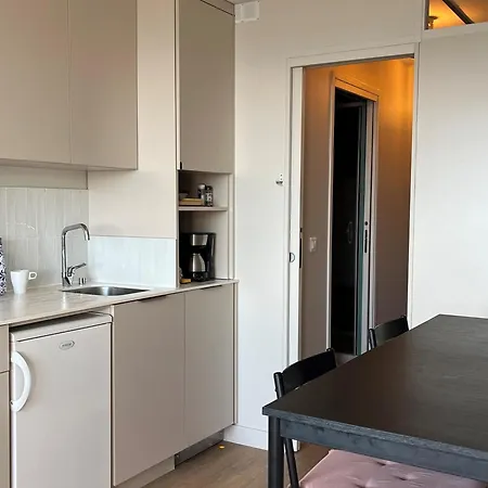 Daire Renove Au Pied Des Pistes, Animaux Admis, 4 Pers. - Fr-1-181-2676 La Plagne