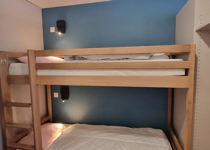 Renove Au Pied Des Pistes, Animaux Admis, 4 Pers. - Fr-1-181-2676 *